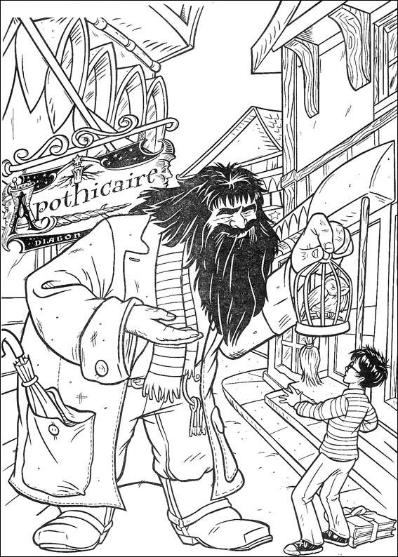 Plansa de colorat cu Harry Potter 153 61